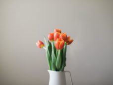 stock-photo-147024479