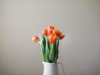 stock-photo-147024479